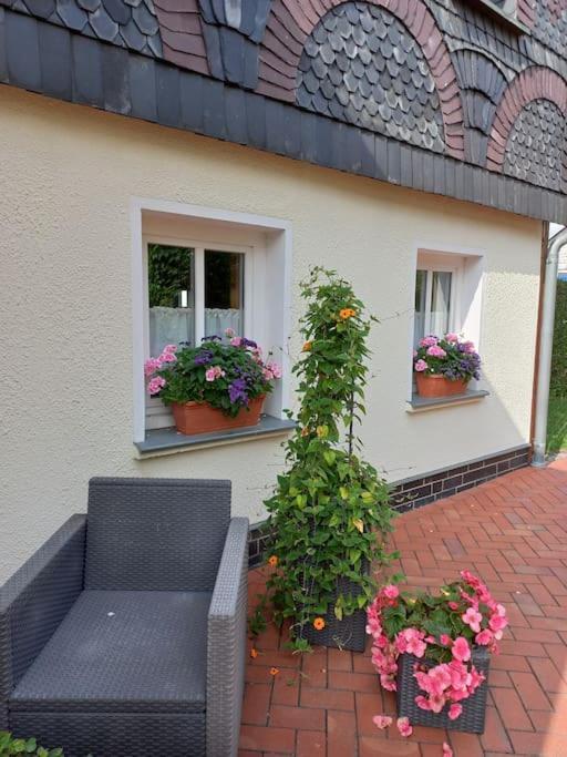 Fewo Marie Im Ferienhaus Selma In Zentraler Lage Grossschoenau Exterior photo
